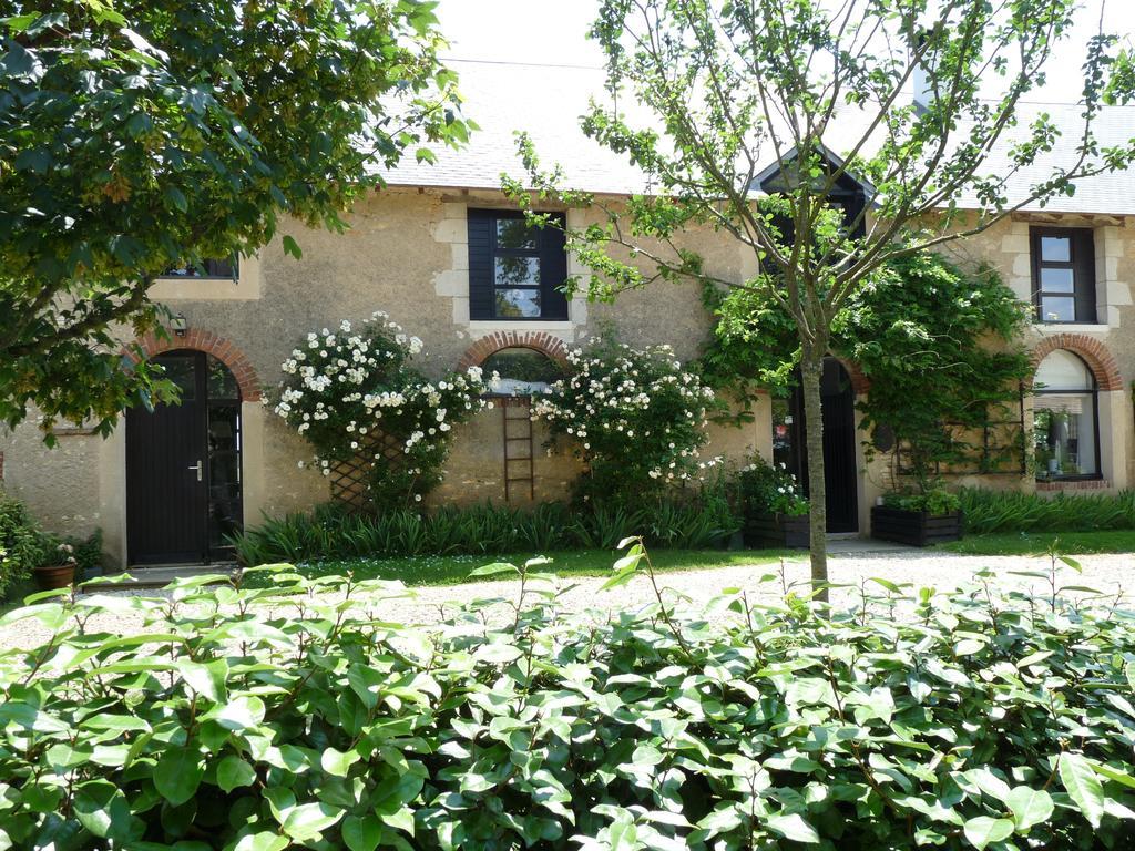Bed and Breakfast La Ligne Angles-sur-lʼAnglin Esterno foto